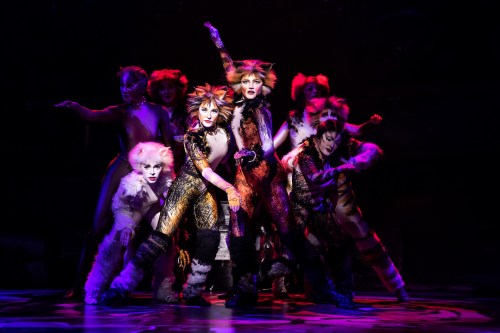 The North American Tour Company of CATS. Photo by Matthew Murphy. 2019 (1)