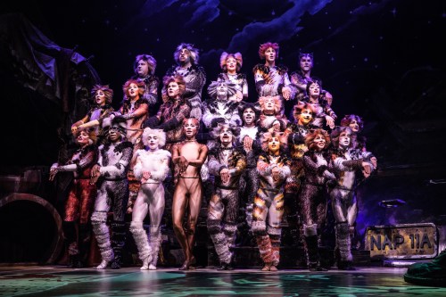 The North American Tour Company of CATS. Photo by Matthew Murphy. 2019 3b.jpg